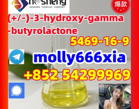 5469-16-9	(+/-)-3-hydroxy-gamma-butyrolactone