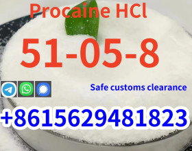 High purity cas 51-05-8 procaine Hcl hydrochloride global shipping