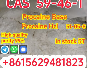 Procaine Powder CAS 59–46–1 Local Anesthesia with Stock APIs