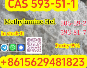 Buy High Quality CAS 593-51-1 Methylamine Hydrochloride at Best Price