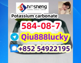 584-08-7 Potassium carbonate