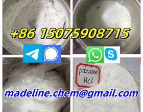 pharm chemicals lidocaine benzocaine tetracaine procaine acetaminophen paracetamol raw material powder