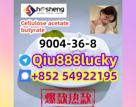 9004-36-8 Cellulose acetate butyrate