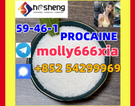 59-46-1	PROCAINE