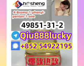 49851-31-2  4-Bromo-1-phenyl-pentan-1-one