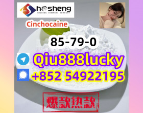 85-79-0  Cinchocaine