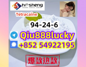 94-24-6  Tetracaine