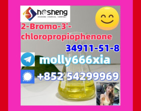 34911-51-8	2-Bromo-3&#39;-chloropropiophenone