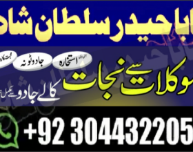 kala ilam kala jadu expert specialist, love marriage, divorce problem solution, authentic amil baba in canada Uk spain