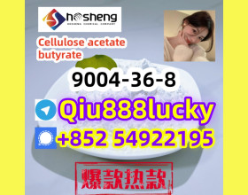 9004-36-8 Cellulose acetate butyrate