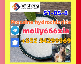 51-05-8"	Procaine hydrochloride