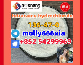 136-47-0	tetracaine hydrochloride