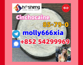 85-79-0	Cinchocaine