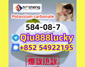 584-08-7 Potassium carbonate