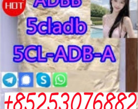 5cladbb 137350-66-4/5fadb 5clmdma 5cladb 5fadb 5fadba 4cl 4fadb 4cladba