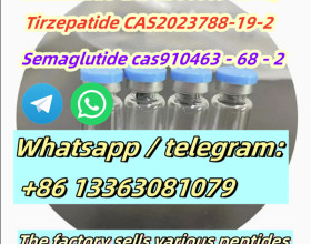 High quality Free samples cas 910463-68-2