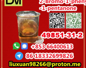 Manufacturer Supply Raw Material CAS 49851-31-2 2-Bromo-1-phenyl-1-pentanone