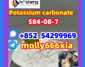 584-08-7	Potassium carbonate