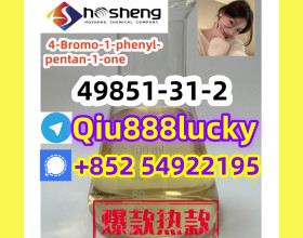 49851-31-2 4-Bromo-1-phenyl-pentan-1-one