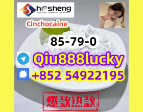 85-79-0  Cinchocaine