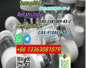 China BPC-157 Peptide CAS 137525-51-0