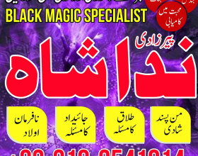 Husband Wife Problem Solution | Real Astrologer In Spain, France, Uk | Kala Jadu Wale Amil baba ka Number Karachi