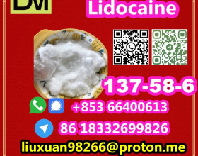 Manufacturer Supply Raw Material CAS 137-58-6 Lidocaine