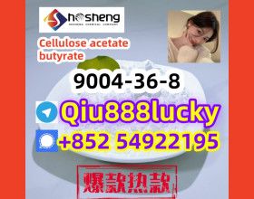 9004-36-8  Cellulose acetate butyrate