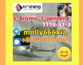 1119-51-3	5-Bromo-1-pentene