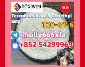 120-61-6	Terephthalic Acid Dimethyl Ester