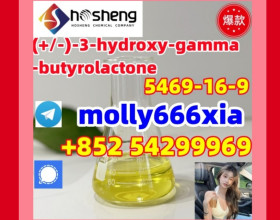 5469-16-9	(+/-)-3-hydroxy-gamma-butyrolactone