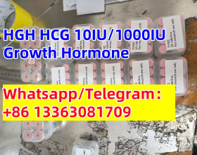 HGH ( IGF-1)  for Muscle growth Human Growth Hormone