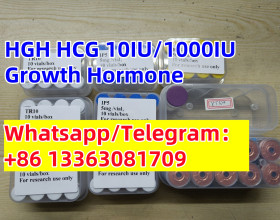 HCG Powder Injection Human Chorionic Gonadotropin  Recombinant (Rec. HCG)