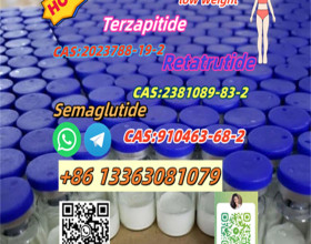 Semaglutide cas910463 - 68 - 2;