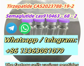 High Quality Peptide Medicine Raw Materials