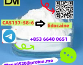 CAS137-58-6 lidocaine C14H22N2O TOP GRADE