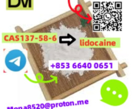 CAS137-58-6 lidocaine C14H22N2O TOP GRADE