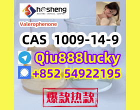 1009-14-9  Valerophenone