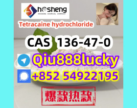 136-47-0  Tetracaine hydrochloride