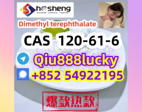 120-61-6  Dimethyl terephthalate