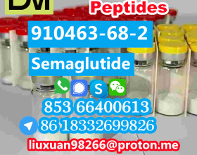 Manufacturer Supply Raw Material CAS 910463-68-2 Semaglutide