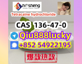 136-47-0  Tetracaine hydrochloride