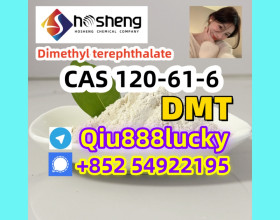 120-61-6  Dimethyl terephthalate