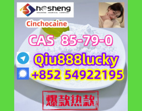 85-79-0  Cinchocaine