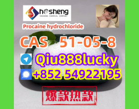 51-05-8  Procaine hydrochloride