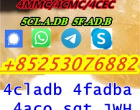 5cladb 5cl 4cladb 4fadba 6cladbb 2cl raw materials 5cladba precursor in stock