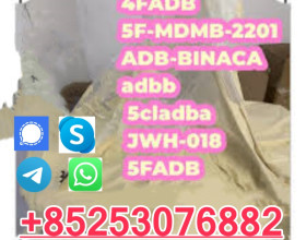 5cladb-a, 5cl-adb-a, 5clbca, 5cl-bca, 5cl-bca, 5cl 4cladb 6cladbb 2cl-mdma bmk