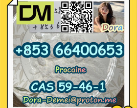 Procaine，CAS 59-46-1