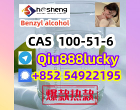 100-51-6  Benzyl alcohol