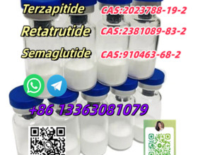 CAS 910463-68-2 Semaglutide 99% High Quality